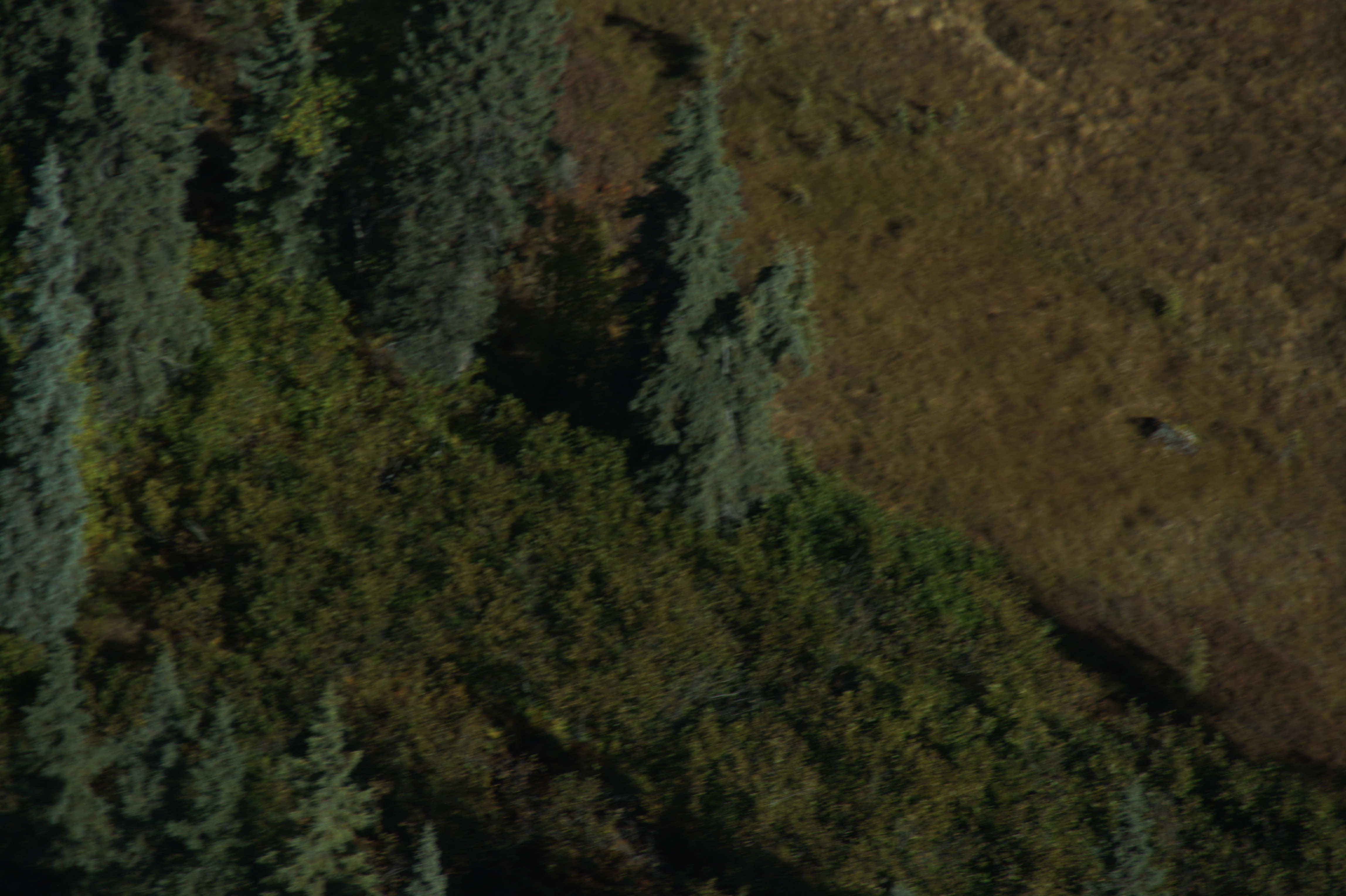 Click to return to the thumbnail index